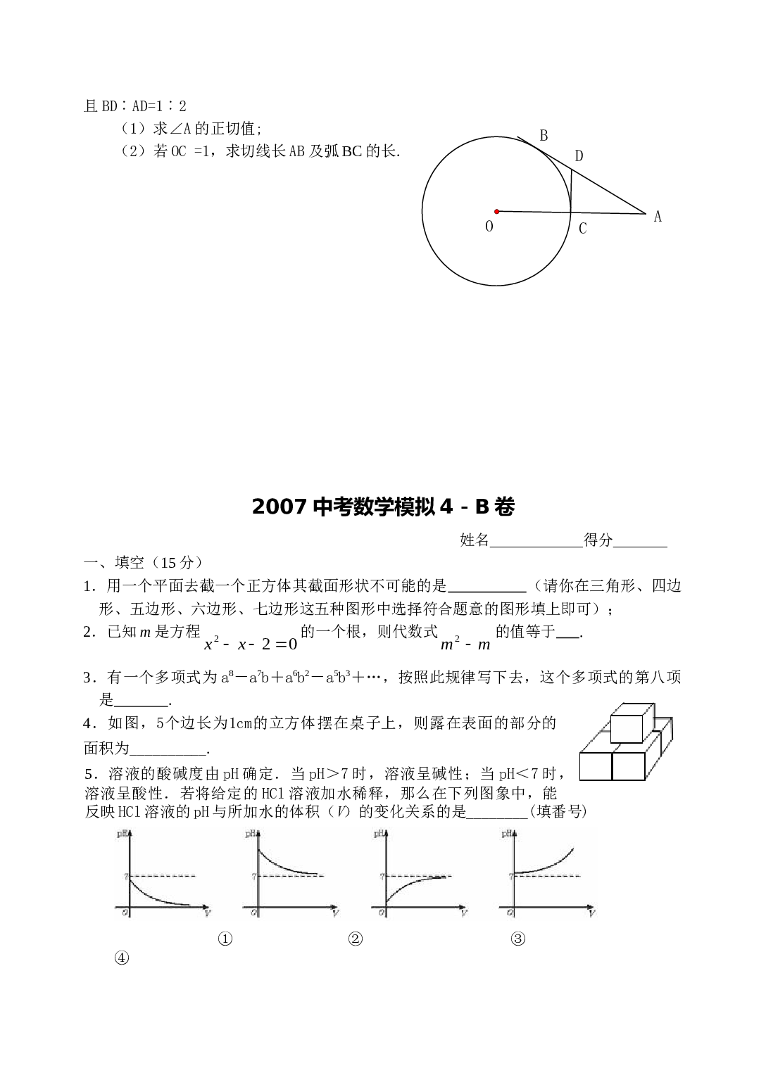 中考数学模拟4.doc