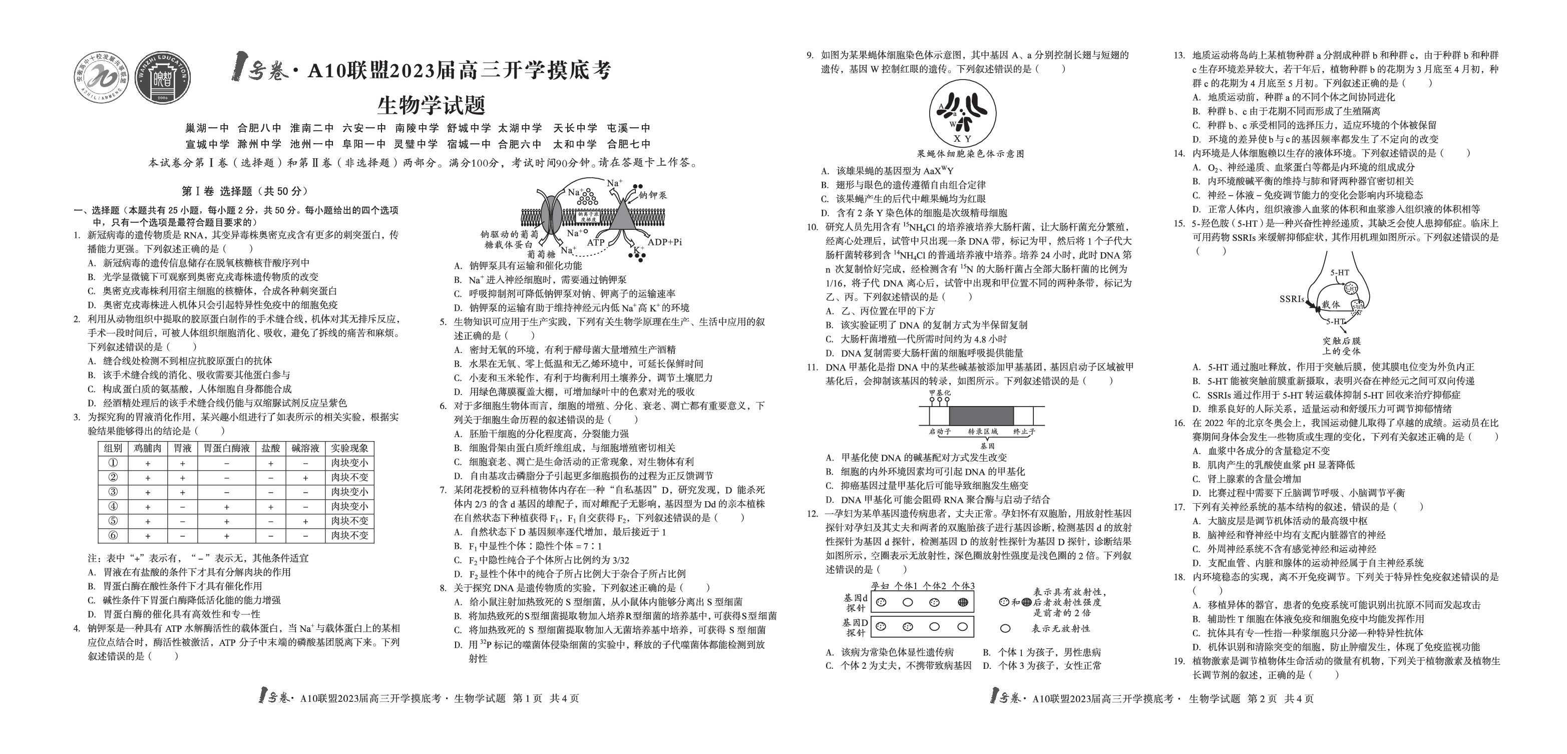 A10联盟2023届高三开学摸底考生物试题.pdf