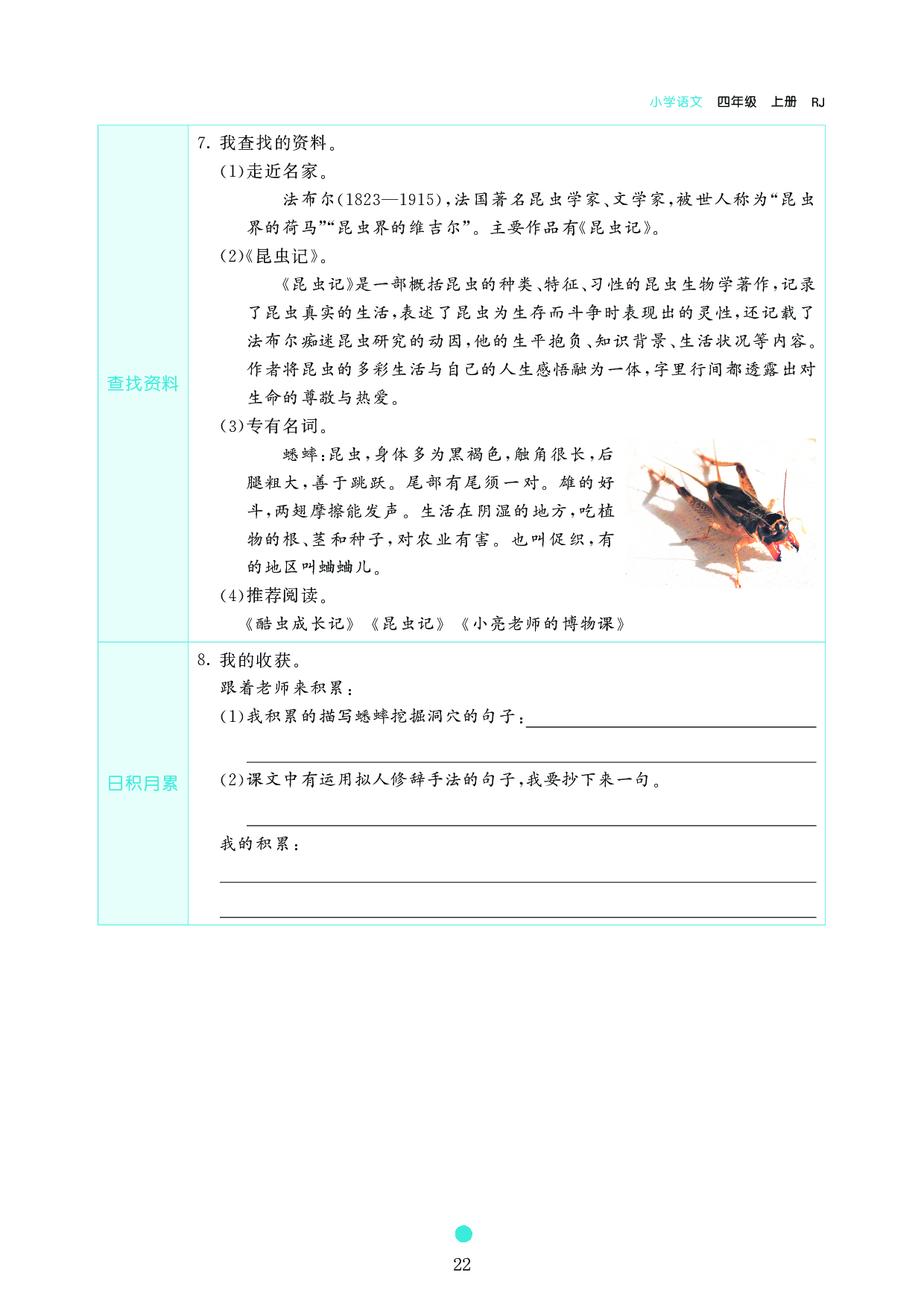 小学四年级语文上册《课前预习目标》11 蟋蟀的住宅.pdf