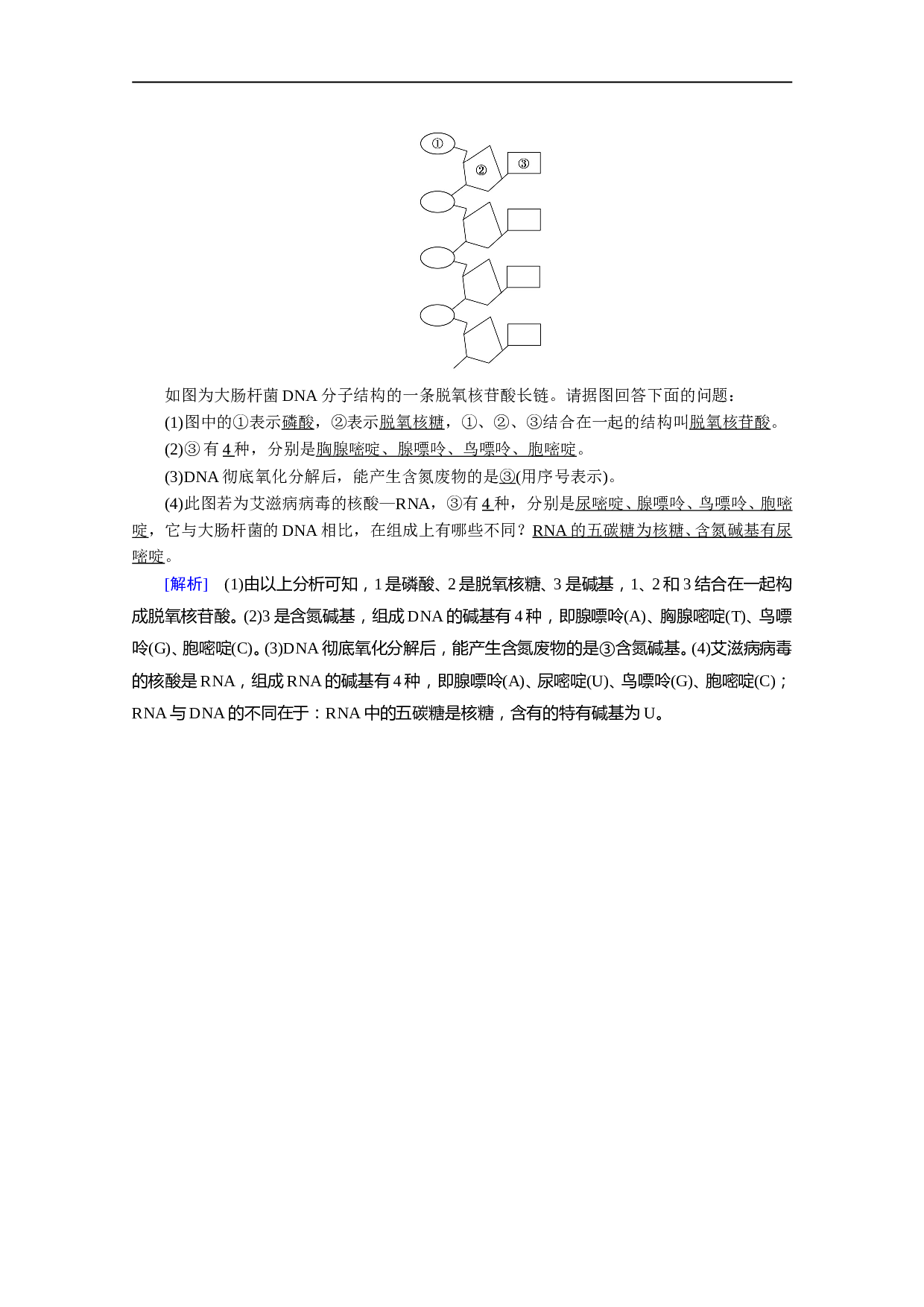 生物人教版必修一练习：第2章 第3节 遗传信息的携带者&mdash;&mdash;核酸 课时（含参考答案）.doc
