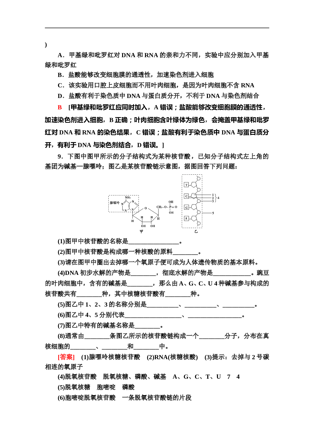 生物必修一课时分层作业5　遗传信息的携带者&mdash;&mdash;核酸（含参考答案）.doc