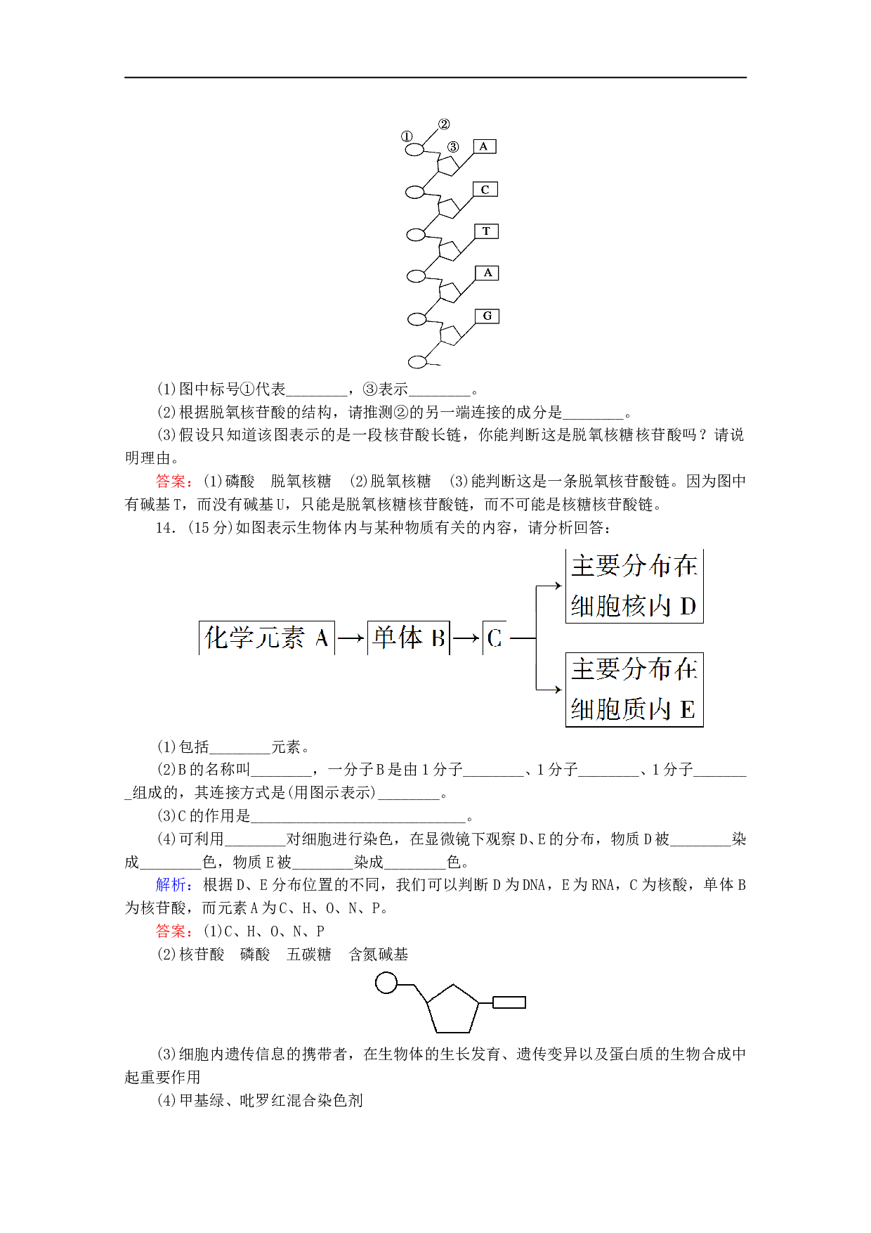 高中生物人教版必修1作业：第二章第3节遗传信息的携带者&mdash;&mdash;核酸 （系列三）（含参考答案）.doc