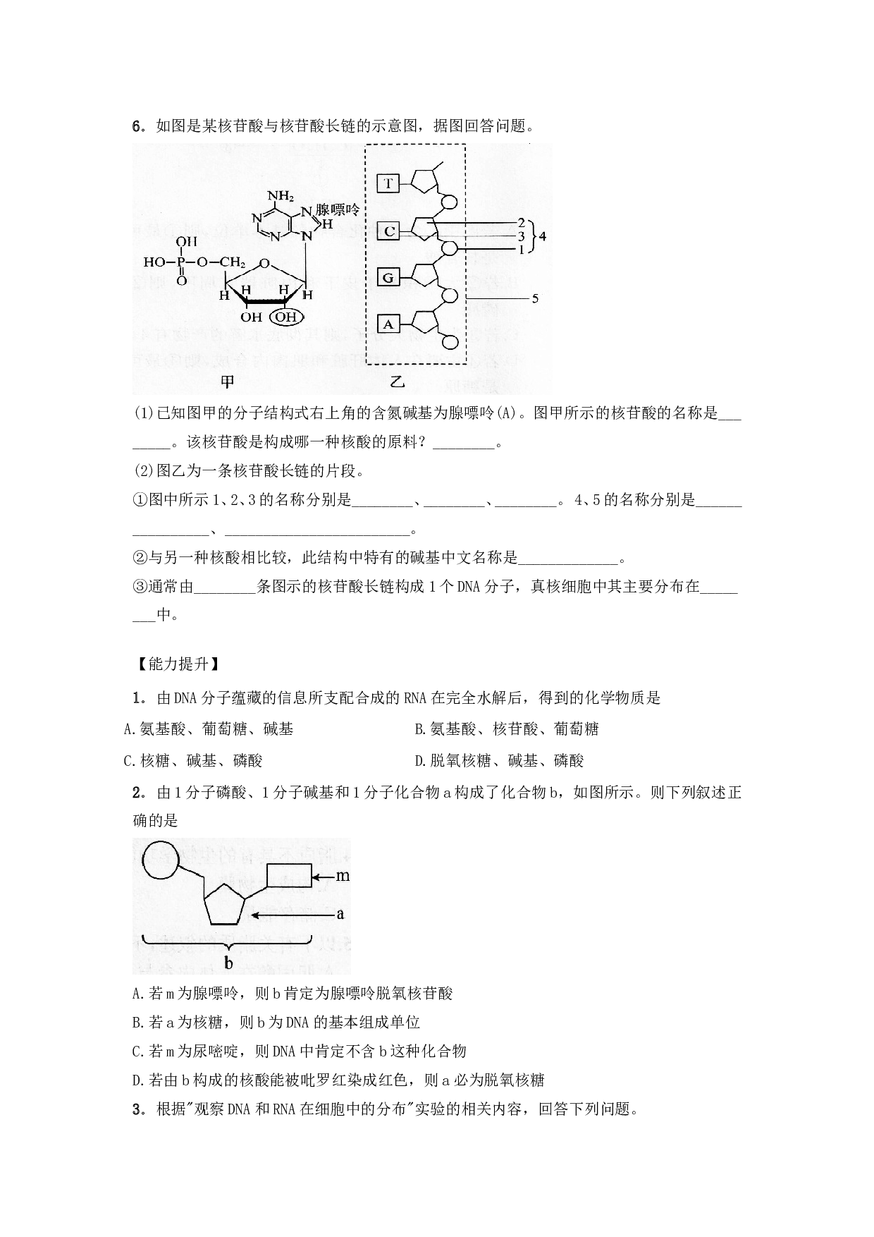 高中生物必修1作业：第二章第3节遗传信息的携带者&mdash;&mdash;核酸 （系列五）（含参考答案）.doc