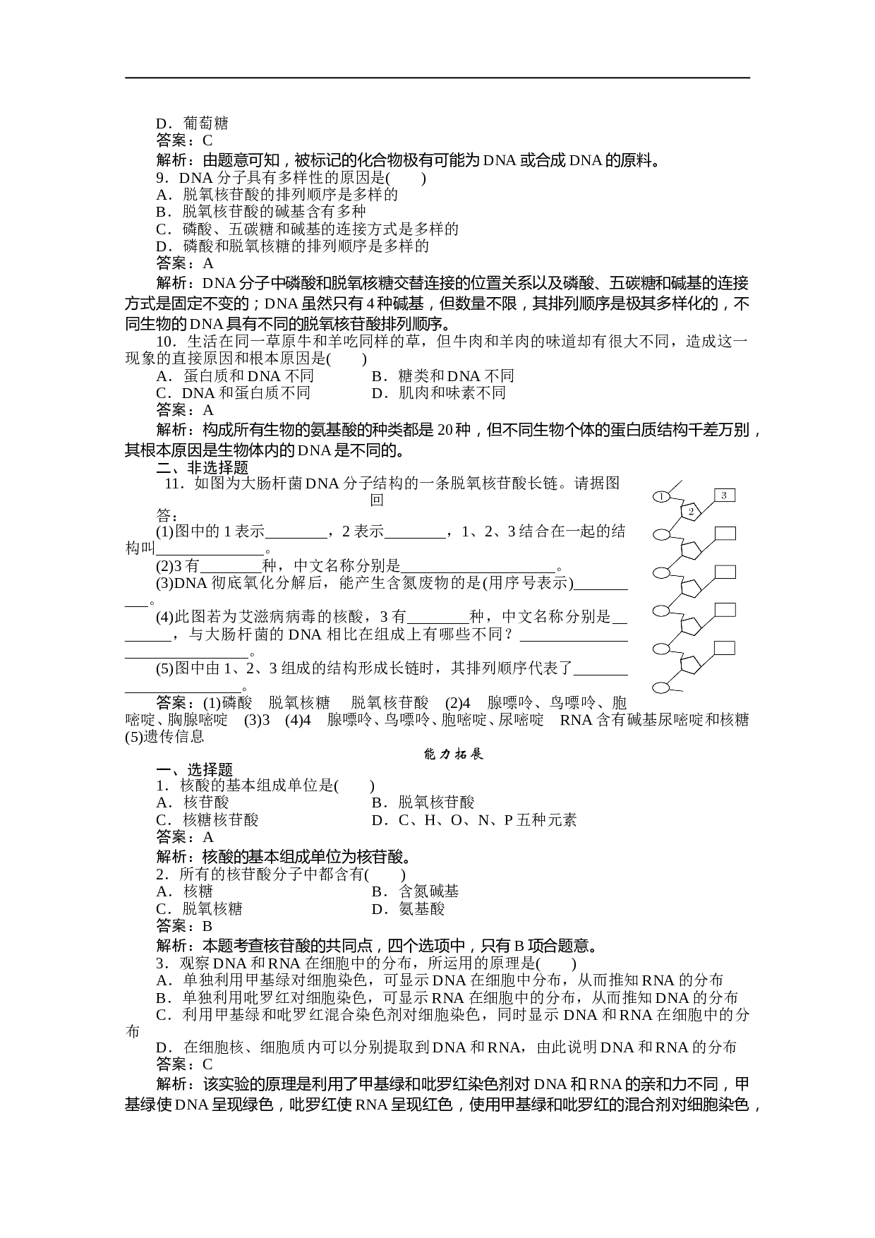 高中生物（人教版）必修一练习：2-3 遗传信息的携带者&mdash;&mdash;核酸 训练案（含参考答案）.doc