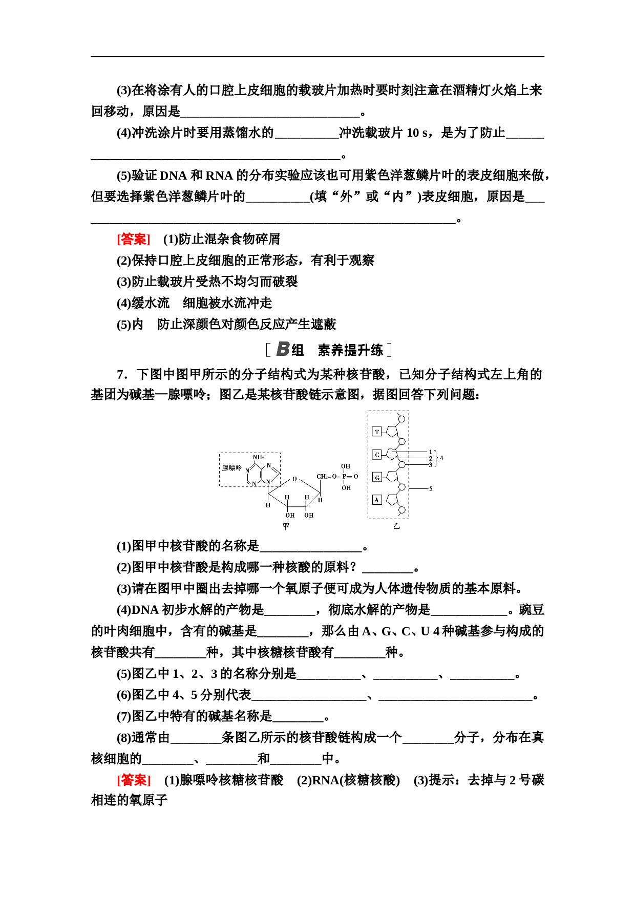 高中人教版生物必修1作业：2.3 遗传信息的携带者&mdash;&mdash;核酸（含参考答案）.doc