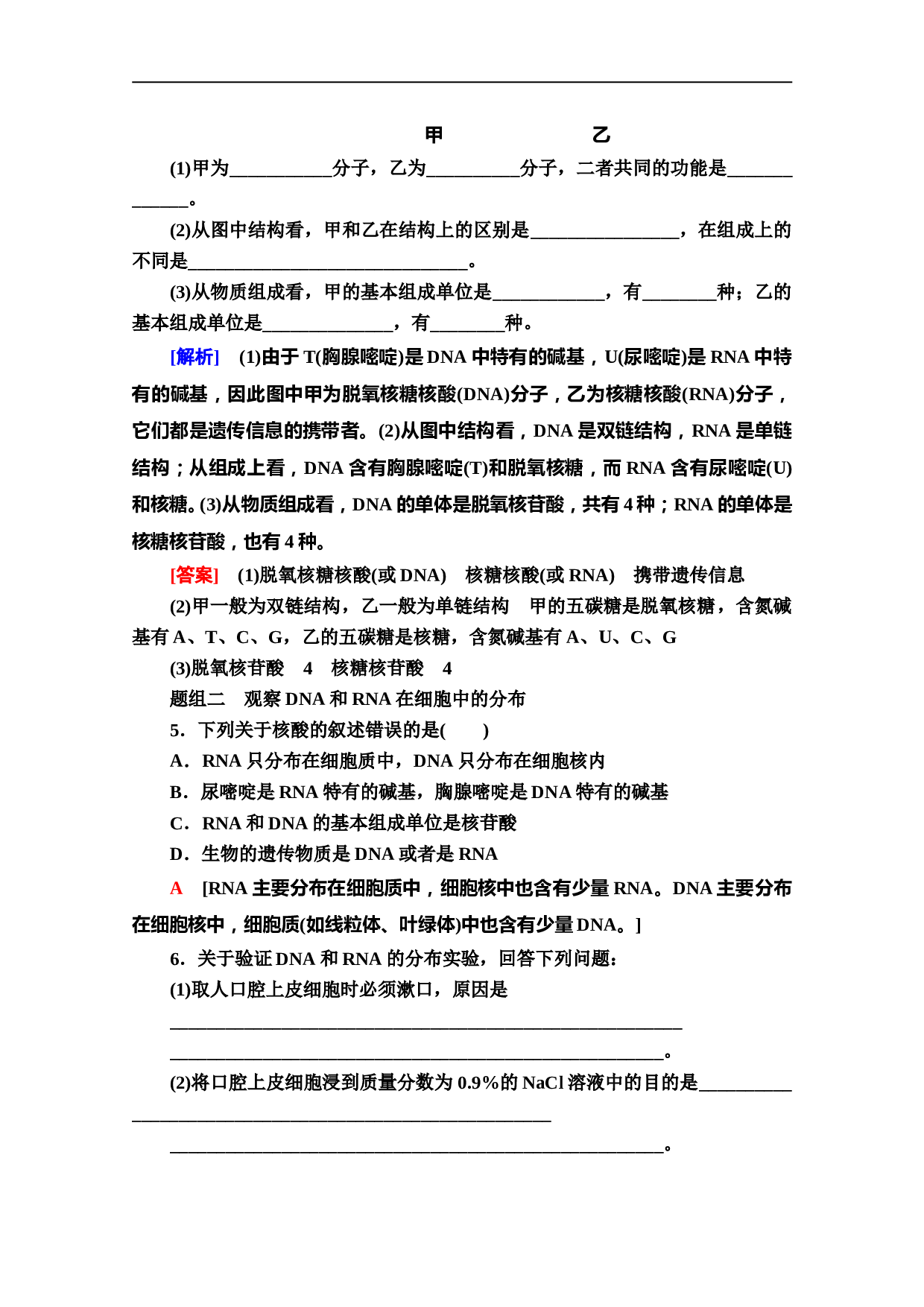 高中人教版生物必修1作业：2.3 遗传信息的携带者&mdash;&mdash;核酸（含参考答案）.doc