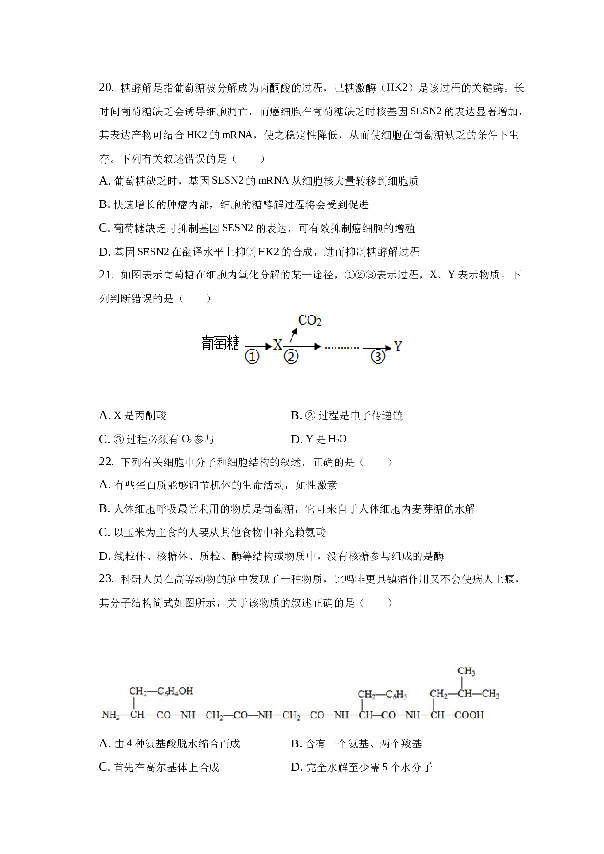 2022-2023学年洛阳市召陵区期末高一生物试卷