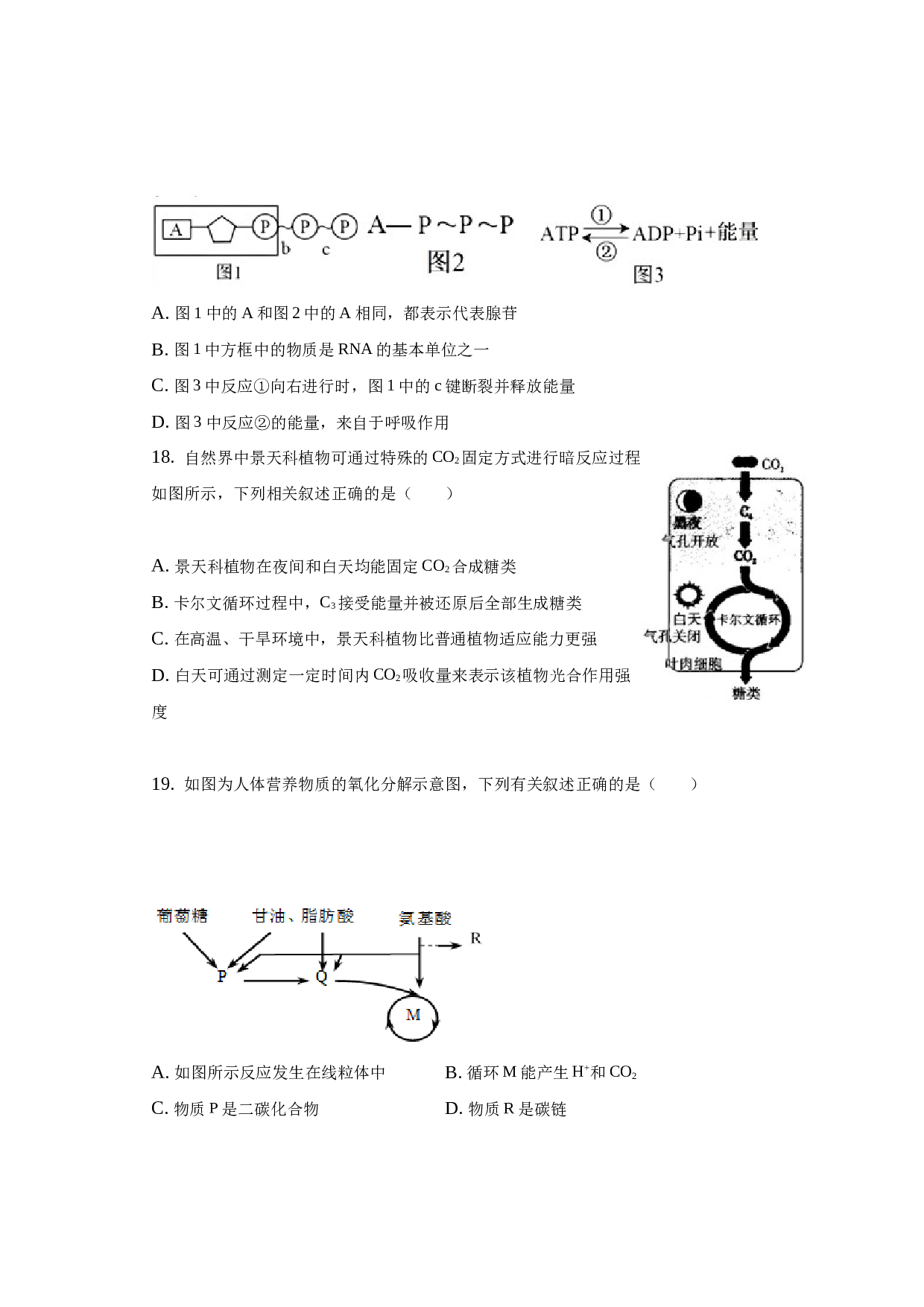 2022-2023学年洛阳市召陵区期末高一生物试卷