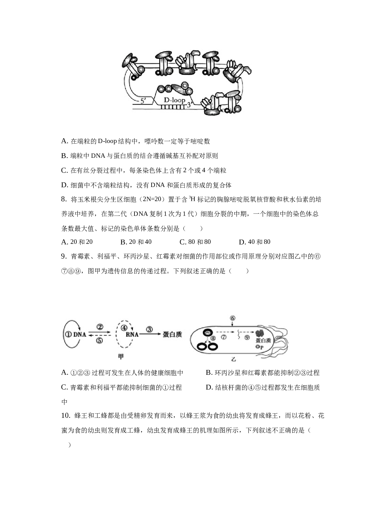 2022-2023学年江苏省宿迁市沭阳中学高一（下）期末生物试卷.docx