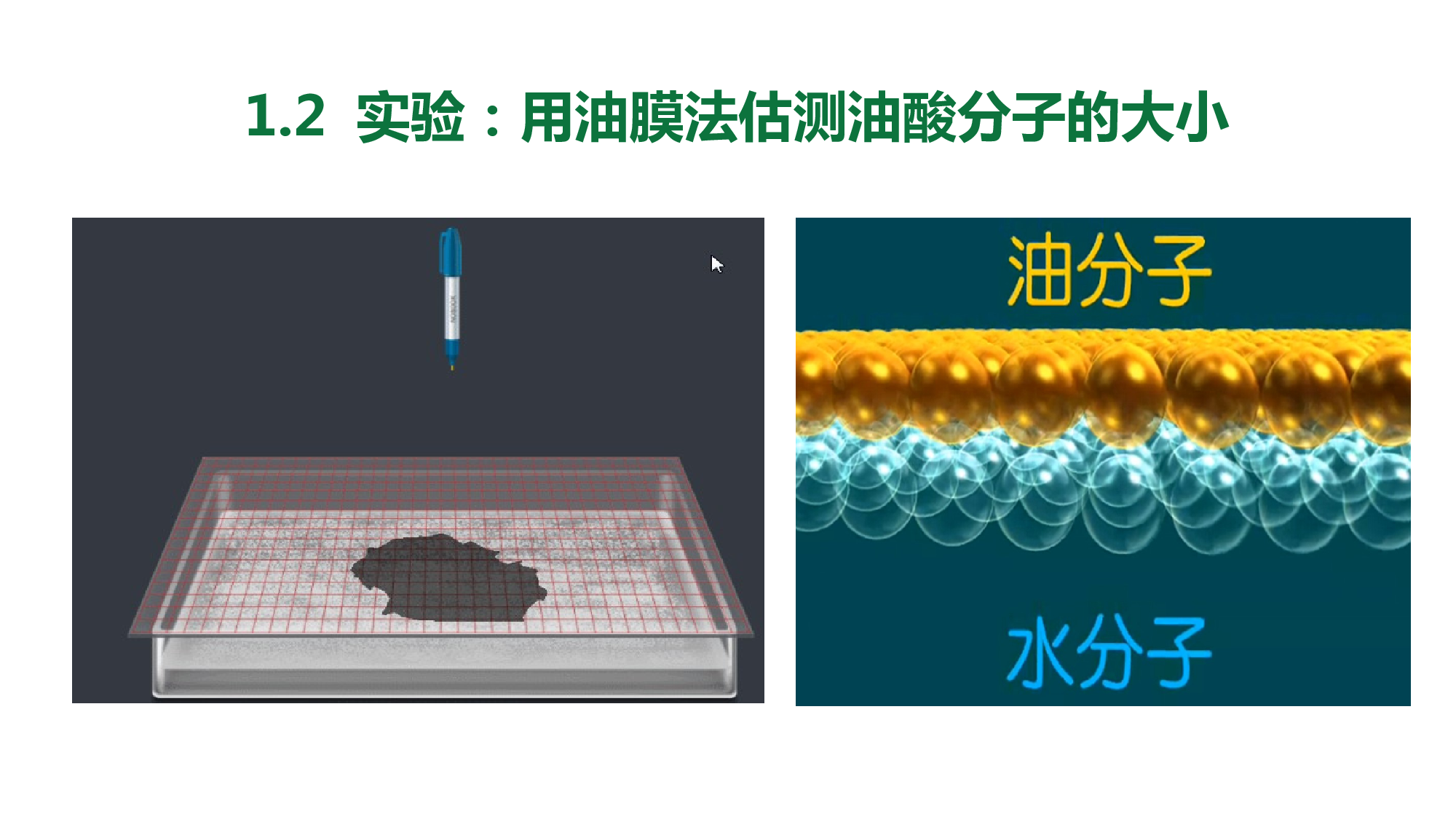人教版（2019）选择性必修第三册 1.2 实验：用油膜法估测油酸分子的大小 课件35张