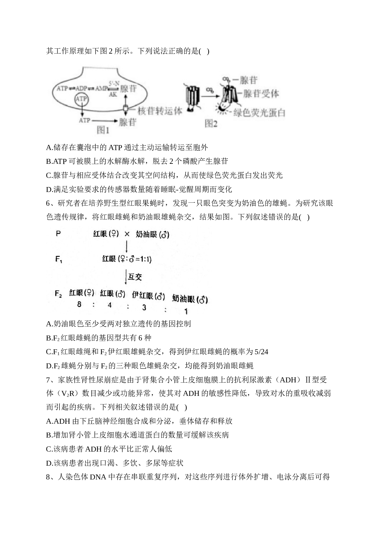 福建省2023届高三下学期联合测评生物试卷（含答案）