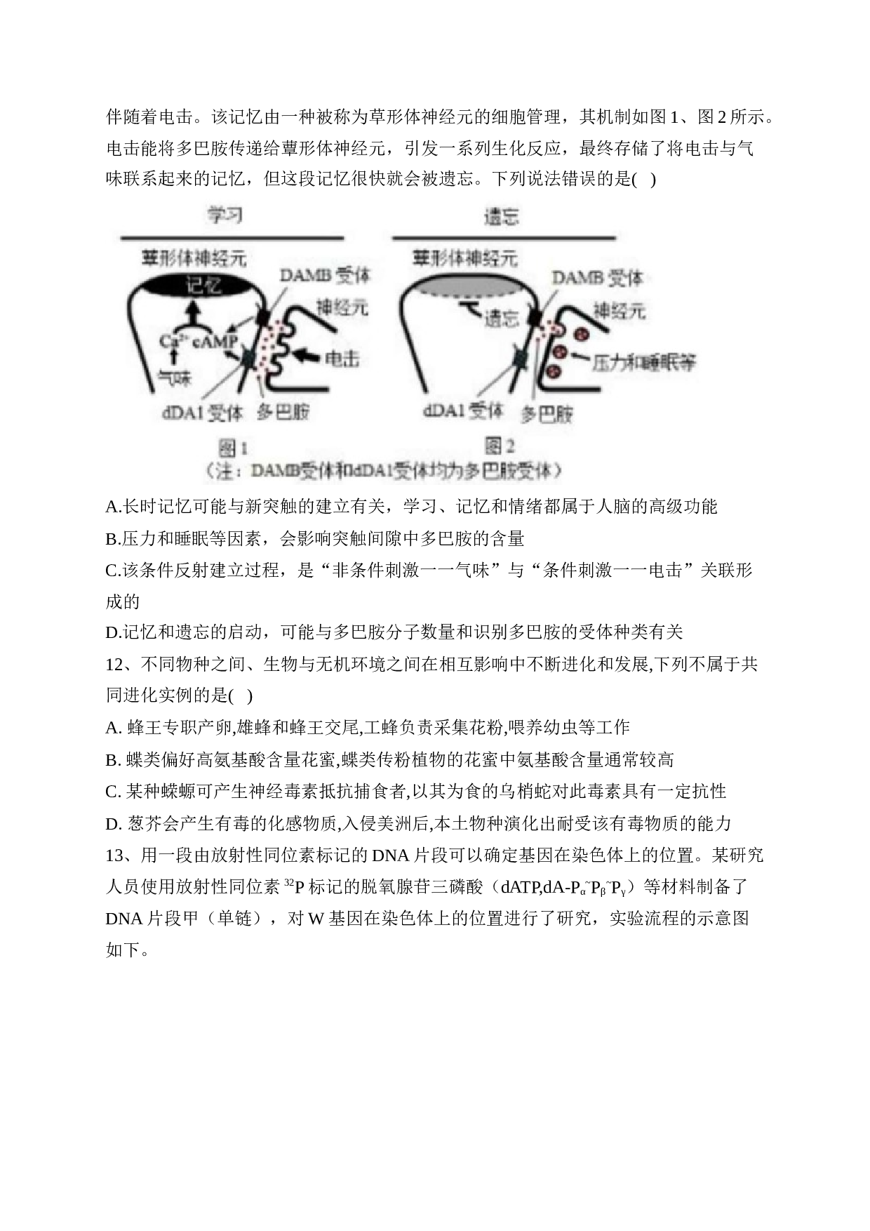 福建省2023届高三下学期联合测评生物试卷（含答案）