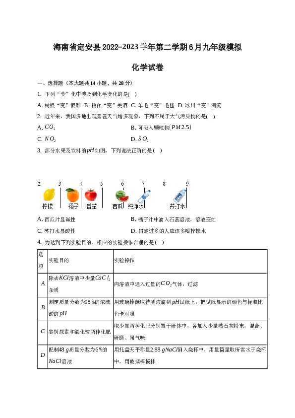 海南省定安县2022-2023学年第二学期6月九年级模拟化学试卷(word版含解析）.docx