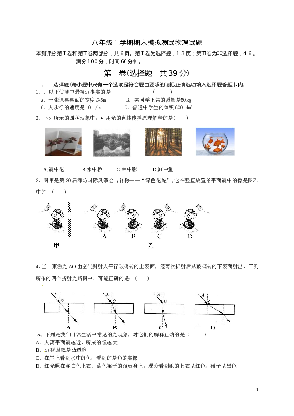 人教版八年级上学期期末模拟测试物理试题.doc