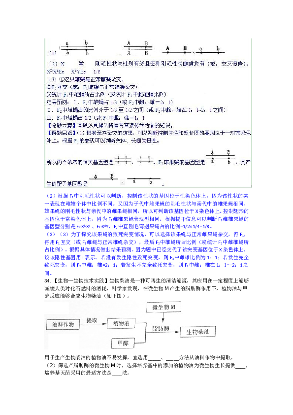 2010年山东高考生物真题试卷(含答案).doc