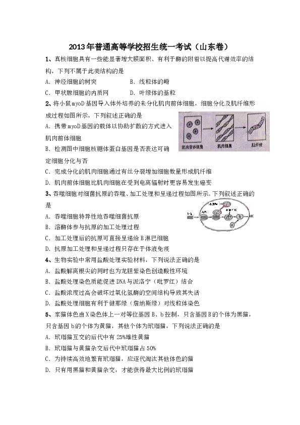 2013年山东高考生物真题试卷(含答案).doc