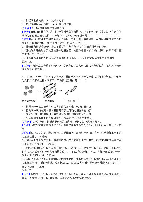 2013年山东高考生物真题试卷(含答案).doc