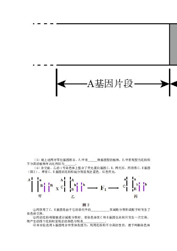 2014年北京高考生物试题及答案.doc