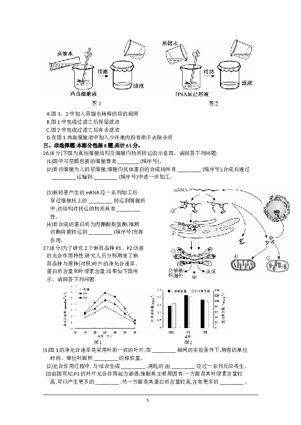 2015年江苏高考生物试卷及答案.doc