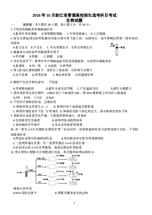 2016年10月浙江省生物选考试卷和答案.docx