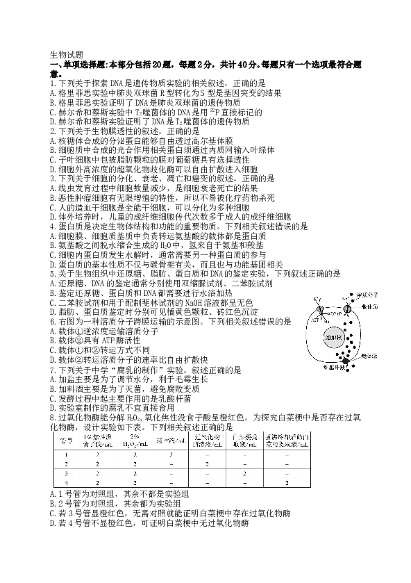 2016年江苏高考生物试卷及答案.doc