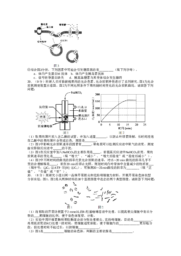 2017年江苏高考生物试卷及答案.doc