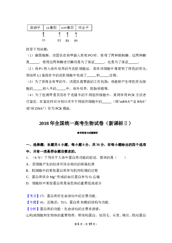 2018年全国统一高考生物试卷（新课标ⅱ）（含解析版）.doc