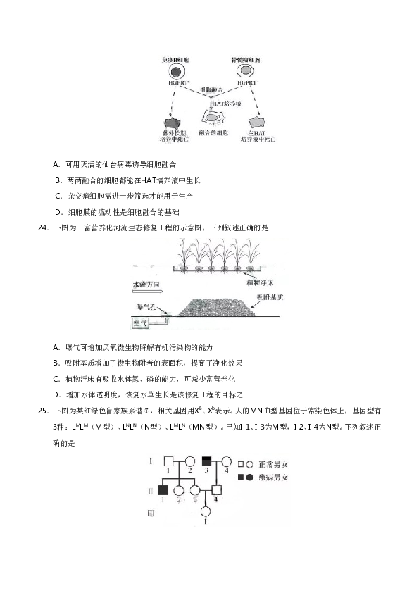 2019年江苏高考生物试卷及答案.doc