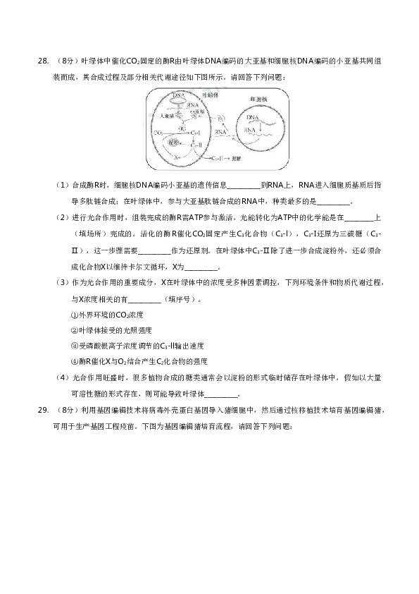 2019年江苏高考生物试卷及答案.doc