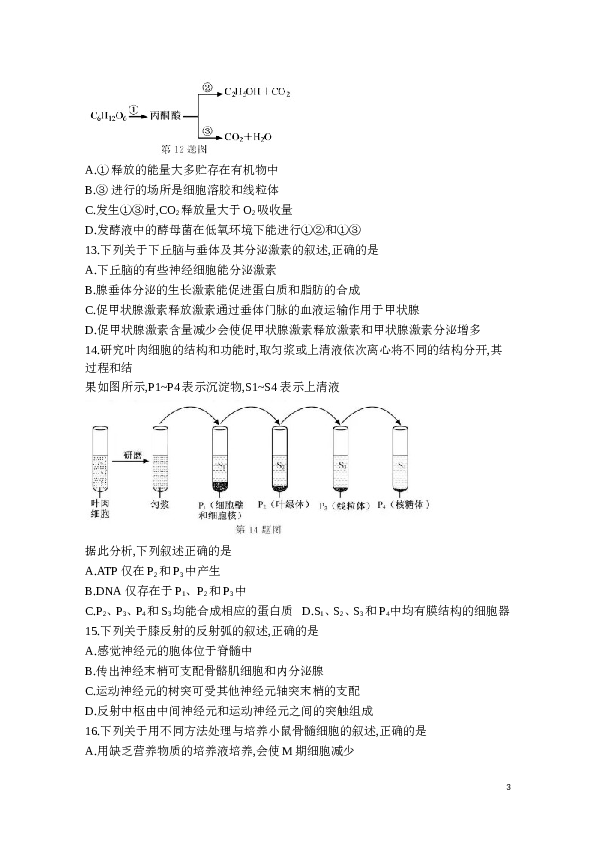 2020年1月浙江省生物选考试卷和答案.doc