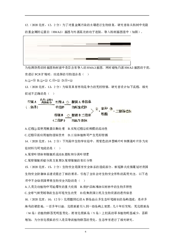 2020年北京市高考生物试卷（原卷版）.doc