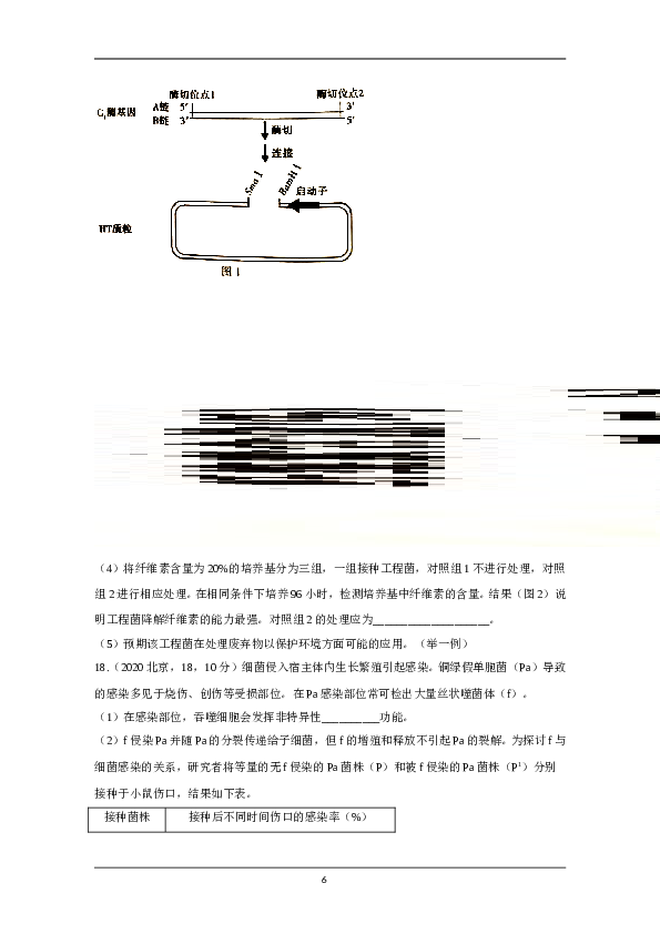 2020年北京市高考生物试卷（原卷版）.doc