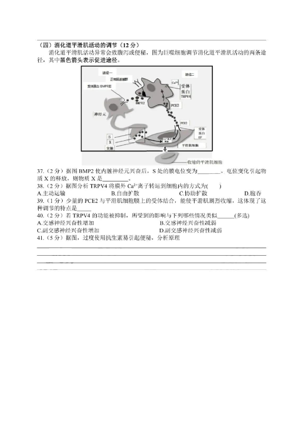 2020年上海市普通高中学业水平等级性考试生物试卷（pdf，有答案）.pdf