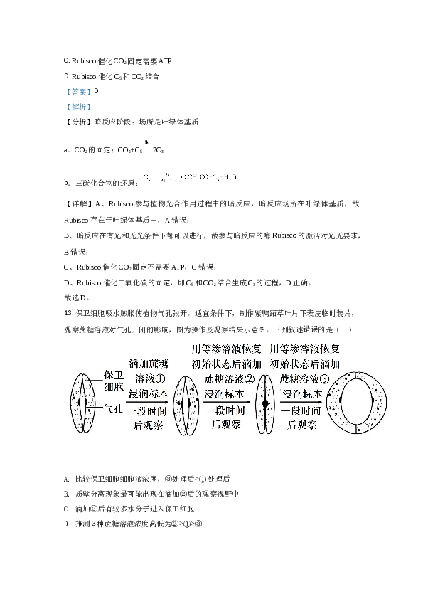 2021年高考真题&mdash;&mdash; 生物（广东卷）  (解析版）.doc