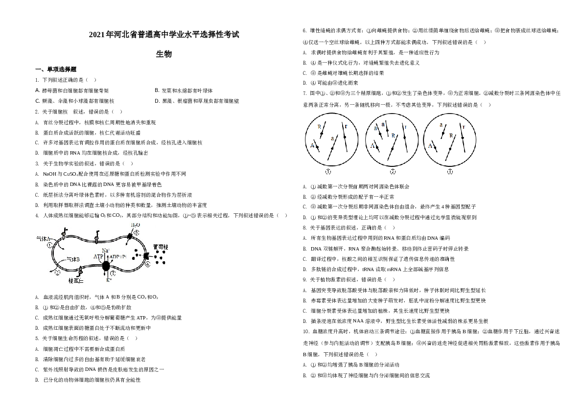 2021年河北高考生物试卷（新高考）A3 Word版（原卷版）.doc