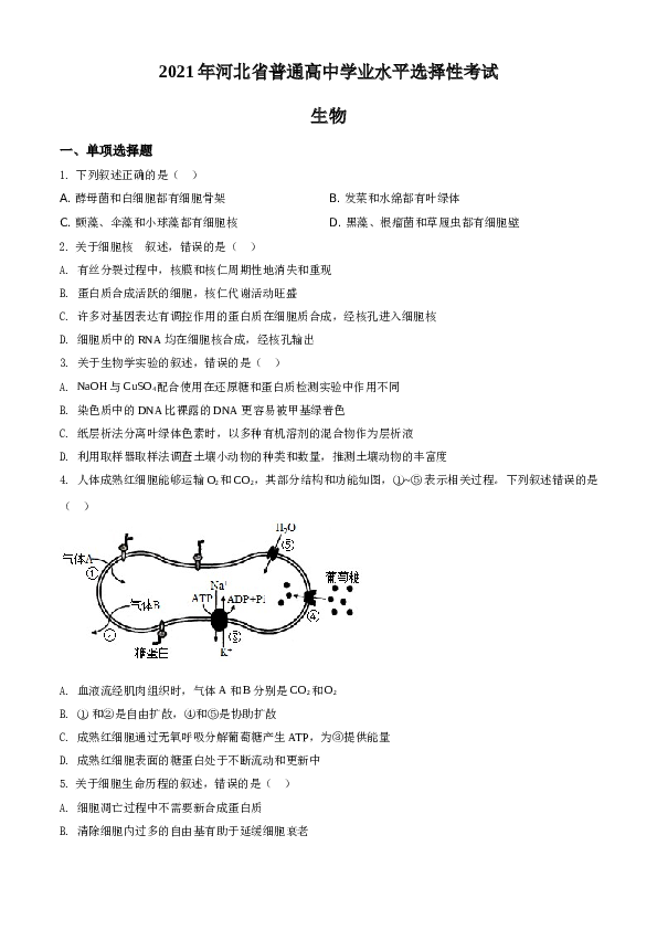 2021年河北高考生物试卷（新高考）A4 Word版（原卷版）.doc