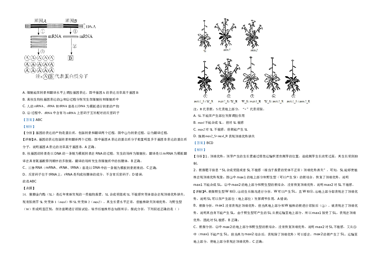 2021年湖南高考生物（新高考）A3 Word版（解析版）.doc